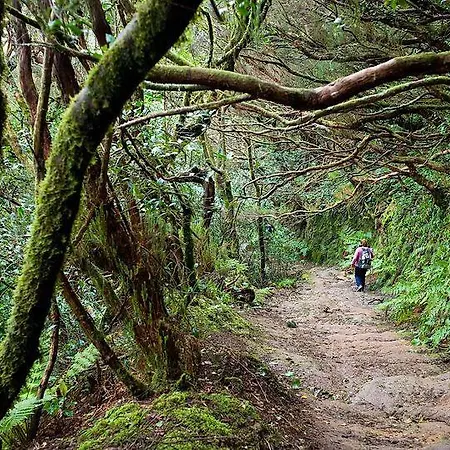 Lejlighed Sweet Bajamar (La Laguna)