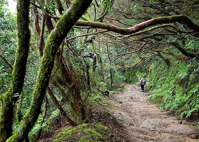 Apartamento Sweet Bajamar (La Laguna)